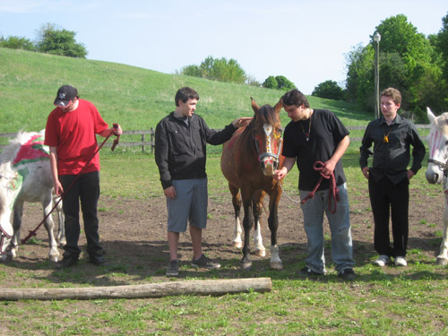 Horse Spirit and Young Men 2012