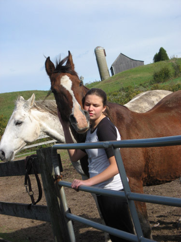 Equine Assisted Learning